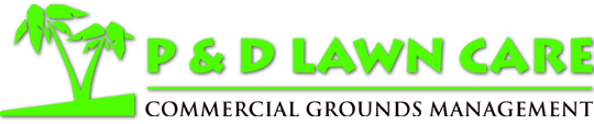 P & D LAWN CARE, LLC. P & D LAWN CARE, LLC.